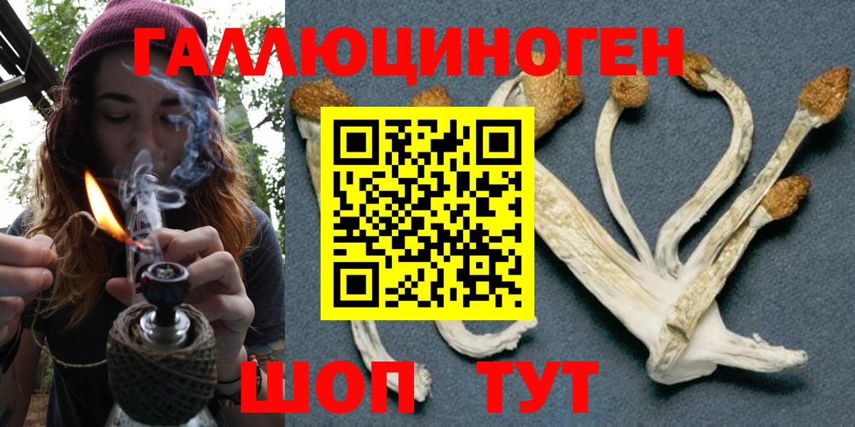 Псилоцибиновые грибы мицелий Алейск