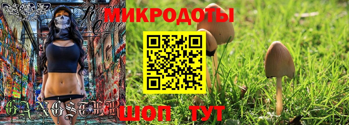 Псилоцибиновые грибы мухоморы  Вход с VPN  Алейск 